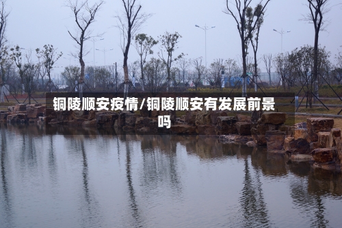 铜陵顺安疫情/铜陵顺安有发展前景吗-第3张图片