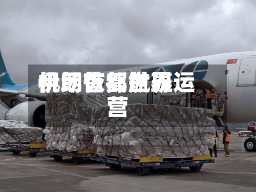 伊朗首都世界机场恢复航班运营