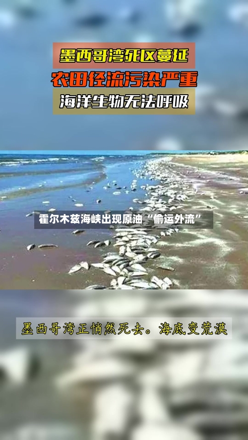 霍尔木兹海峡出现原油 “偷运外流”
