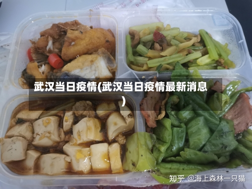 武汉当日疫情(武汉当日疫情最新消息)-第2张图片