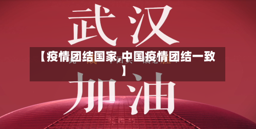 【疫情团结国家,中国疫情团结一致】-第2张图片