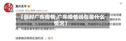 【现时广东疫情,广东疫情现在是什么情况】-第2张图片