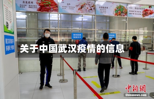 关于中国武汉疫情的信息