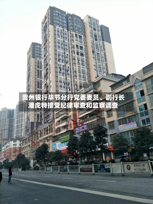 贵州银行毕节分行党委委员、副行长潘虎特接受纪律审查和监察调查