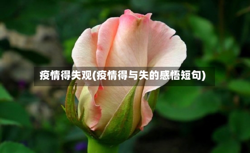 疫情得失观(疫情得与失的感悟短句)