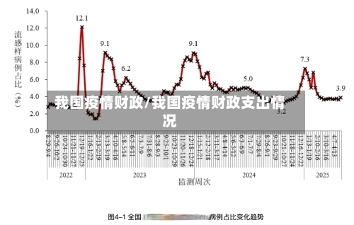 我国疫情财政/我国疫情财政支出情况