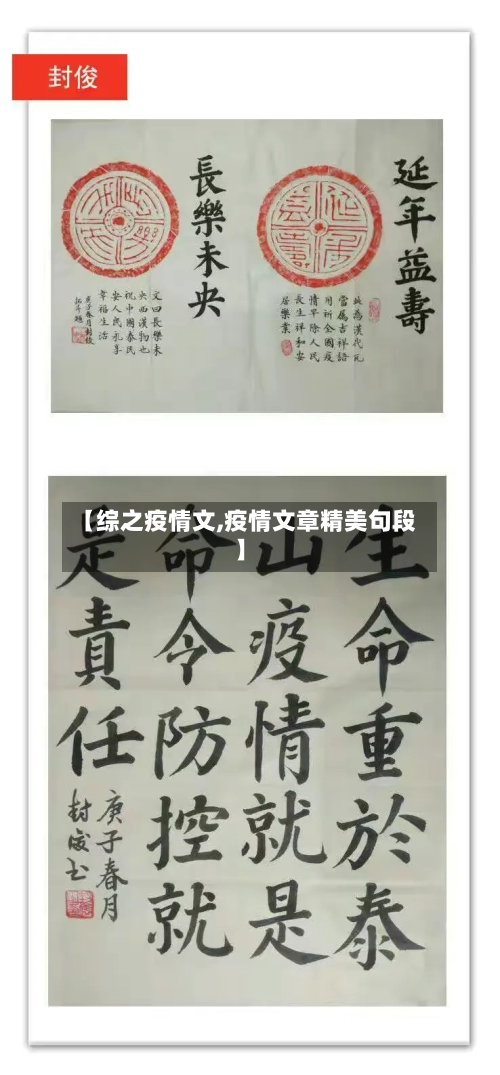 【综之疫情文,疫情文章精美句段】