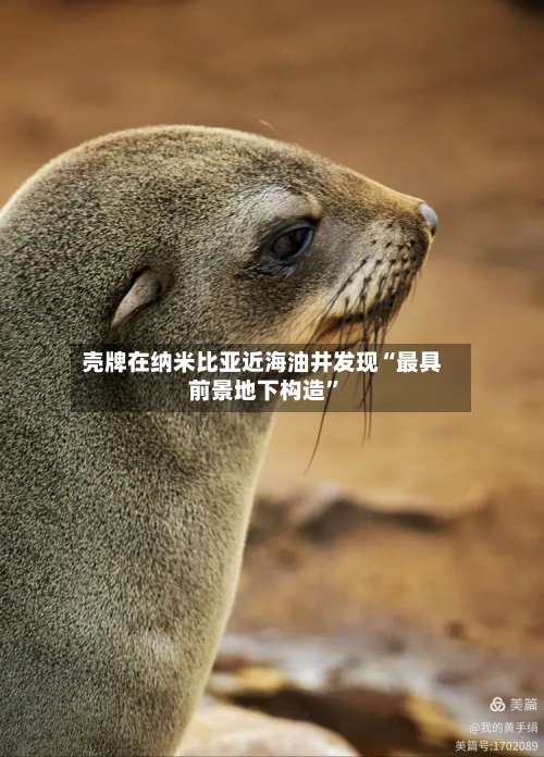 壳牌在纳米比亚近海油井发现“最具前景地下构造”-第2张图片