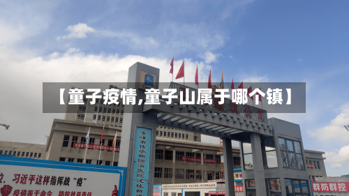 【童子疫情,童子山属于哪个镇】-第3张图片
