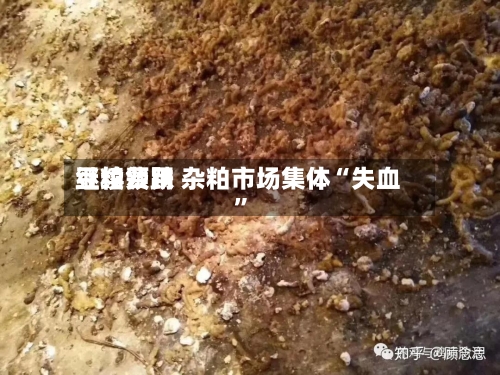 豆粕费用继续领跌 杂粕市场集体“失血”-第2张图片