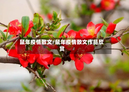 鼠年疫情散文/鼠年疫情散文作品欣赏-第2张图片