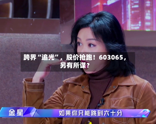 跨界“追光”	，股价抢跑！603065，另有所谋？-第2张图片