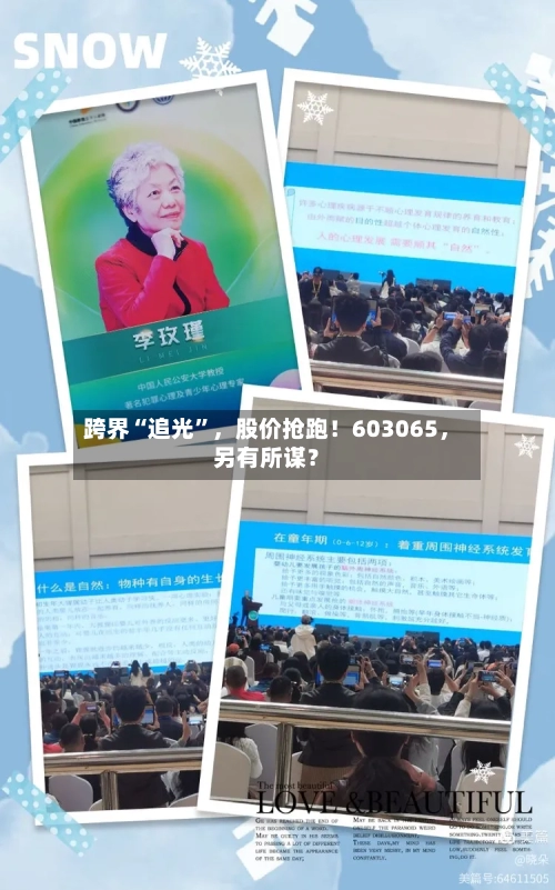 跨界“追光”，股价抢跑！603065	，另有所谋？-第3张图片