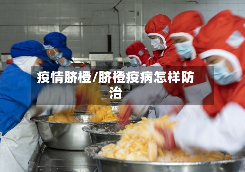 疫情脐橙/脐橙疫病怎样防治