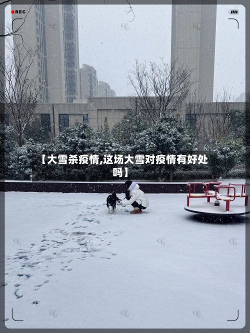 【大雪杀疫情,这场大雪对疫情有好处吗】-第3张图片