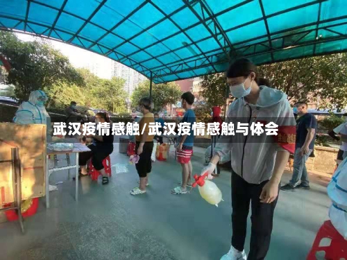 武汉疫情感触/武汉疫情感触与体会
