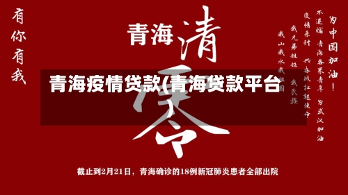 青海疫情贷款(青海贷款平台)-第2张图片