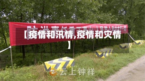 【疫情和汛情,疫情和灾情】