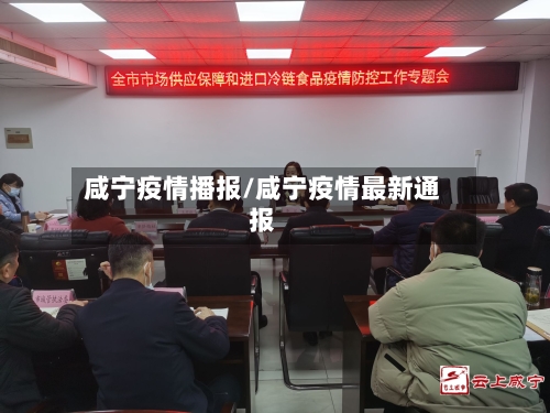 咸宁疫情播报/咸宁疫情最新通报-第2张图片