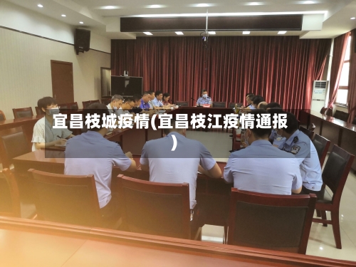 宜昌枝城疫情(宜昌枝江疫情通报)