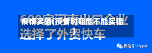 疫情买猫(疫情时期能不能买猫)-第3张图片
