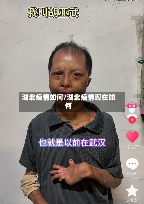 湖北疫情如何/湖北疫情现在如何-第2张图片