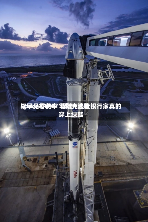 SpaceX IPO“绿鞋	”选取权罕见零费率 马斯克还让银行家真的穿上绿鞋-第2张图片