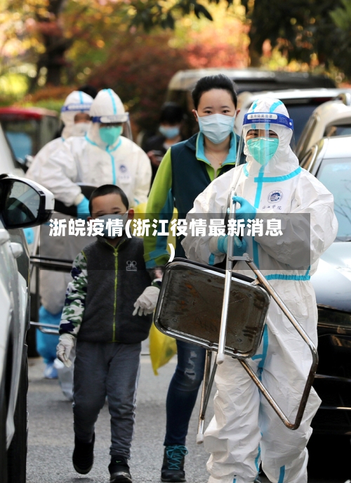 浙皖疫情(浙江役情最新消息)-第3张图片