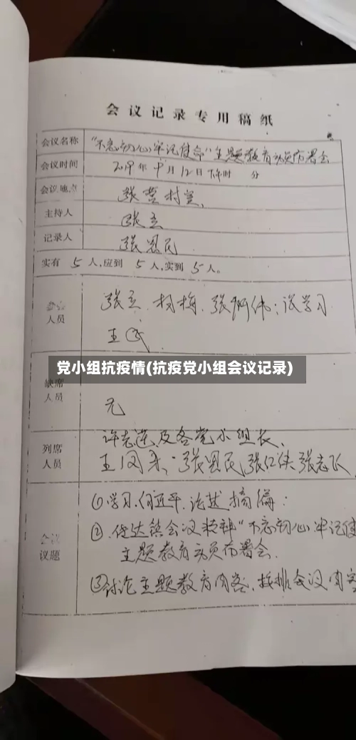 党小组抗疫情(抗疫党小组会议记录)