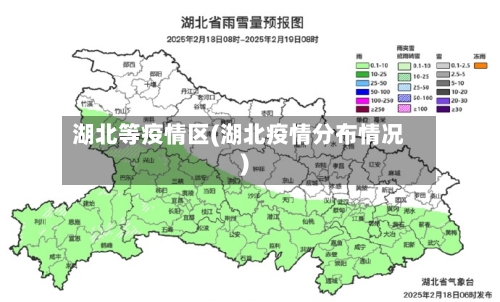 湖北等疫情区(湖北疫情分布情况)-第3张图片