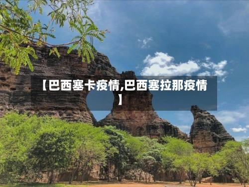 【巴西塞卡疫情,巴西塞拉那疫情】