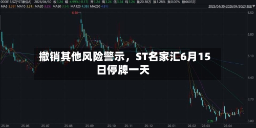 撤销其他风险警示，ST名家汇6月15日停牌一天-第3张图片