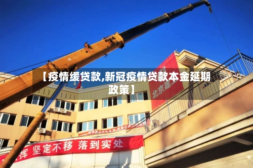 【疫情缓贷款,新冠疫情贷款本金延期政策】-第3张图片