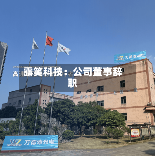 露笑科技：公司董事辞职