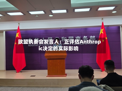欧盟执委会发言人：正评估Anthropic决定的实际影响-第2张图片