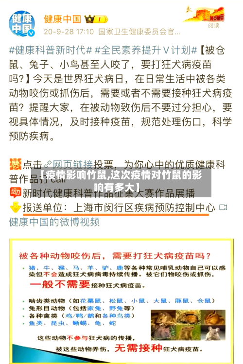 【疫情影响竹鼠,这次疫情对竹鼠的影响有多大】-第2张图片