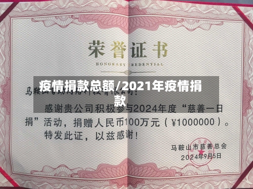 疫情捐款总额/2021年疫情捐款