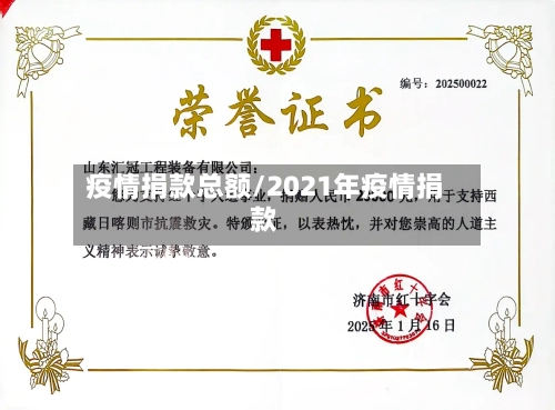 疫情捐款总额/2021年疫情捐款-第2张图片