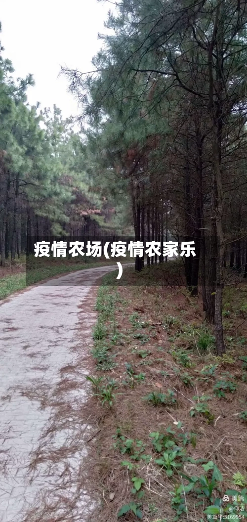 疫情农场(疫情农家乐)-第3张图片