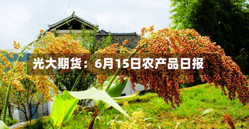 光大期货：6月15日农产品日报