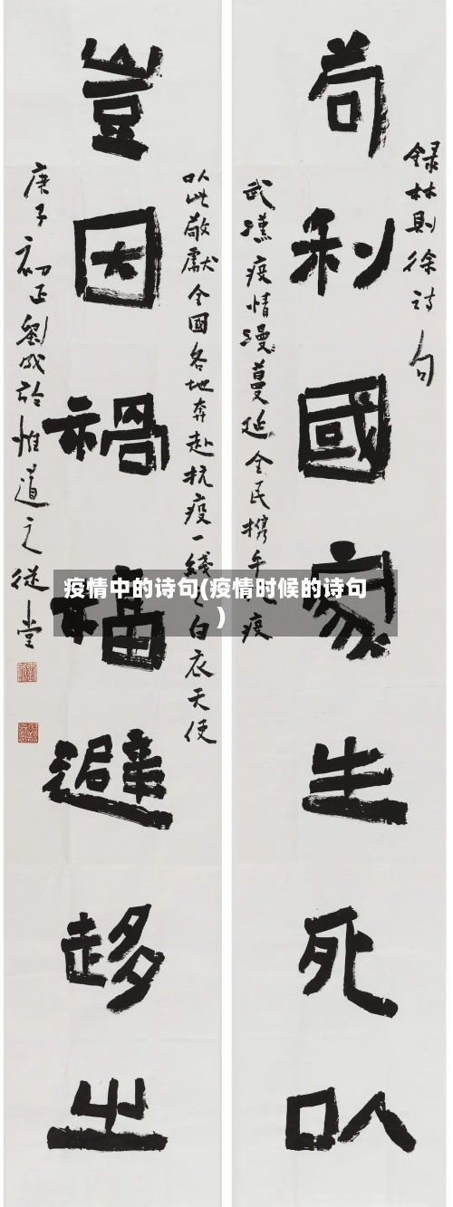 疫情中的诗句(疫情时候的诗句)-第3张图片