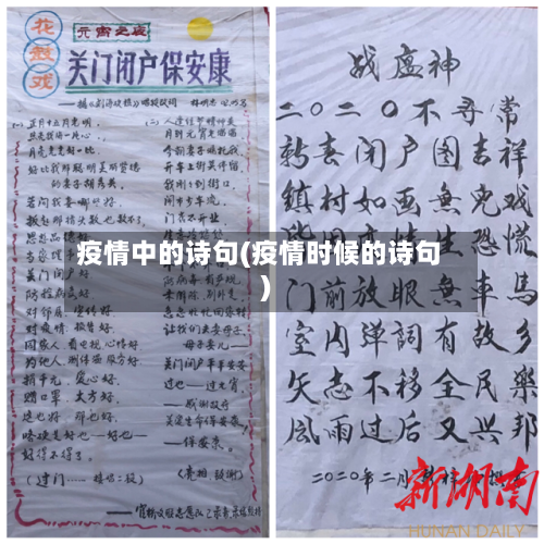 疫情中的诗句(疫情时候的诗句)