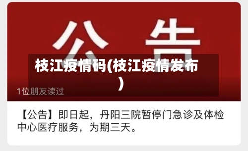 枝江疫情码(枝江疫情发布)