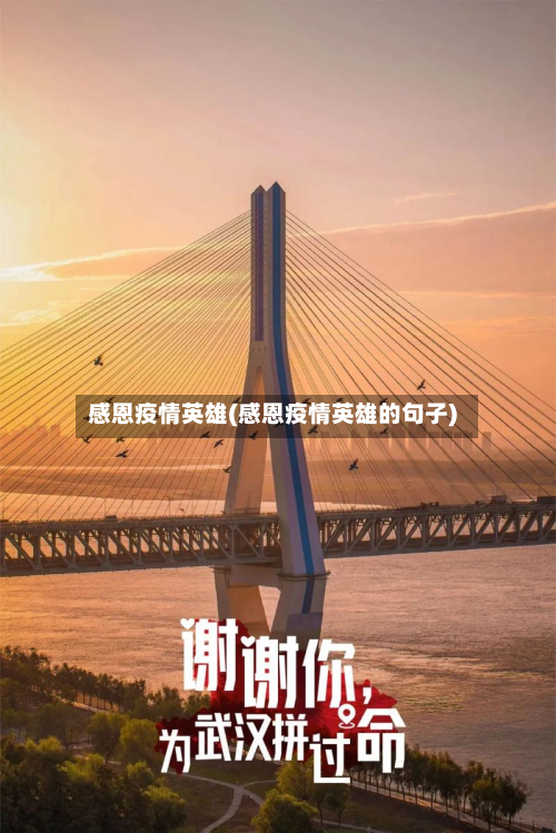 感恩疫情英雄(感恩疫情英雄的句子)