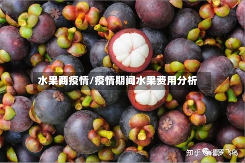 水果商疫情/疫情期间水果费用分析-第2张图片