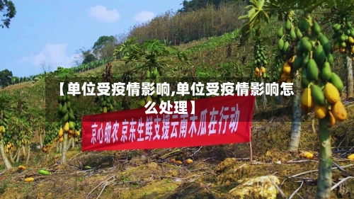 【单位受疫情影响,单位受疫情影响怎么处理】