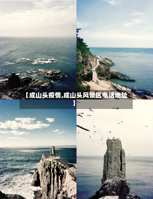 【成山头疫情,成山头风景区电话地址】