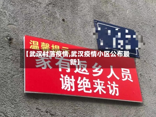 【武汉村落疫情,武汉疫情小区公布最新】-第2张图片