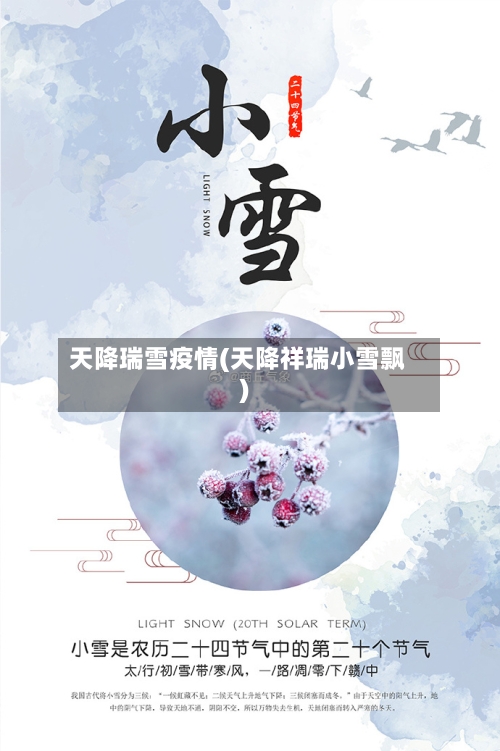 天降瑞雪疫情(天降祥瑞小雪飘)-第2张图片
