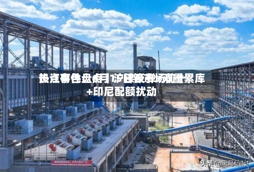 长江有色：6月15日镍市场前十热点事件盘点｜沪镍反弹+双重累库+印尼配额扰动